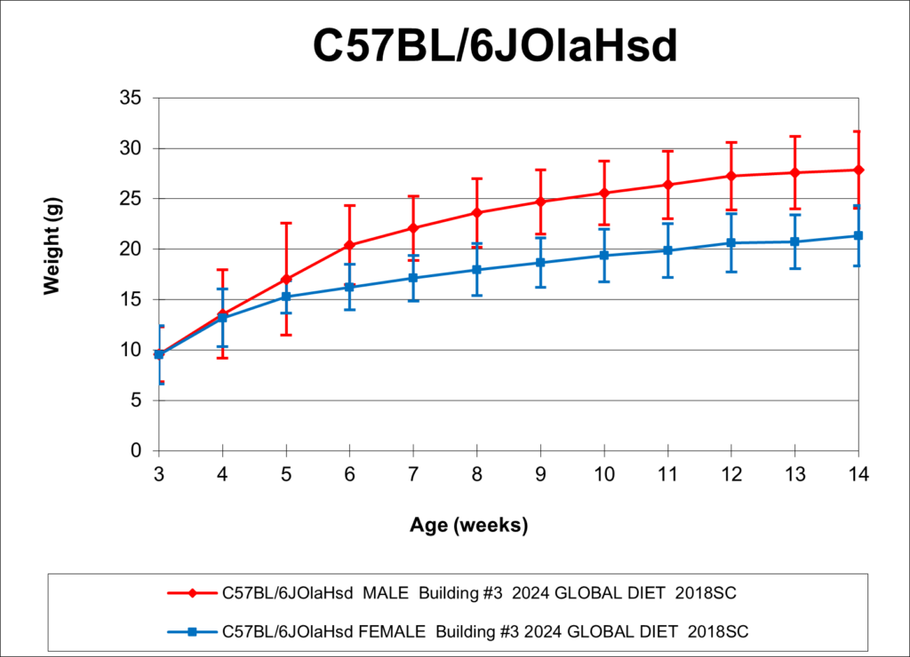 C57BL/6 - HLI